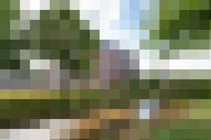 Erve Geusendam 55 Rijssen thumbnail 35