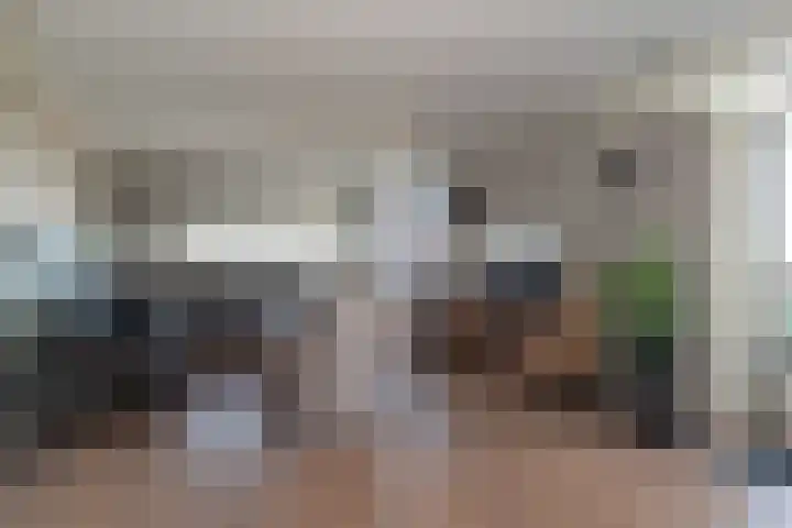 Erve Geusendam 55 Rijssen thumbnail 6