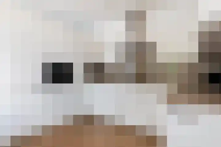 Erve Gorkink 18 Markelo thumbnail 10