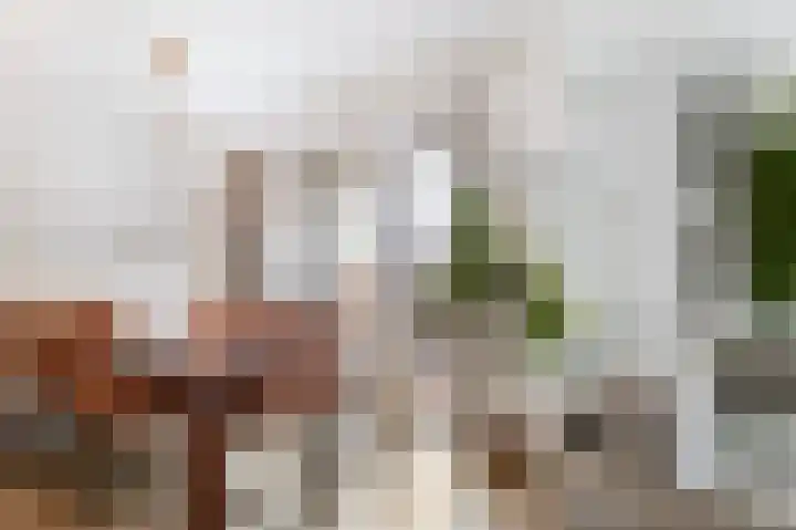 Erve Gorkink 18 Markelo thumbnail 12