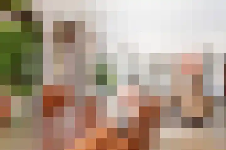 Erve Gorkink 18 Markelo thumbnail 13