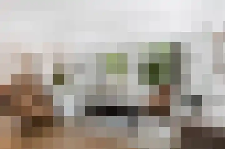 Erve Gorkink 18 Markelo thumbnail 15