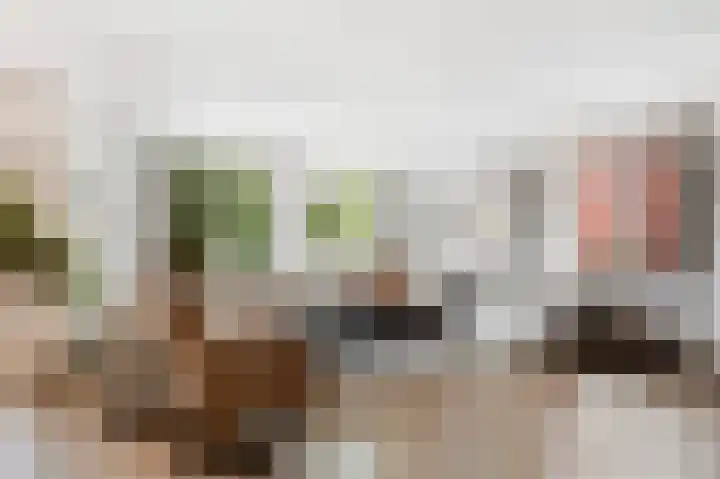 Erve Gorkink 18 Markelo thumbnail 17