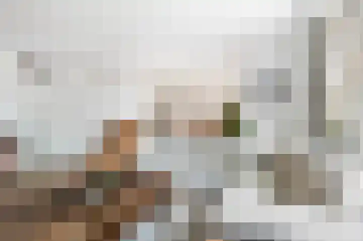 Erve Gorkink 18 Markelo thumbnail 18