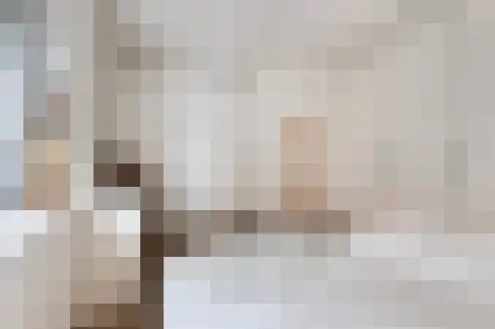 Erve Gorkink 18 Markelo thumbnail 19