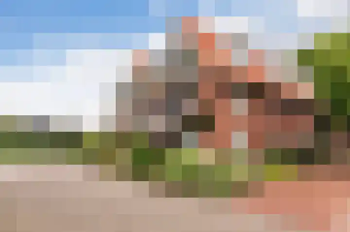 Erve Gorkink 18 Markelo foto 2