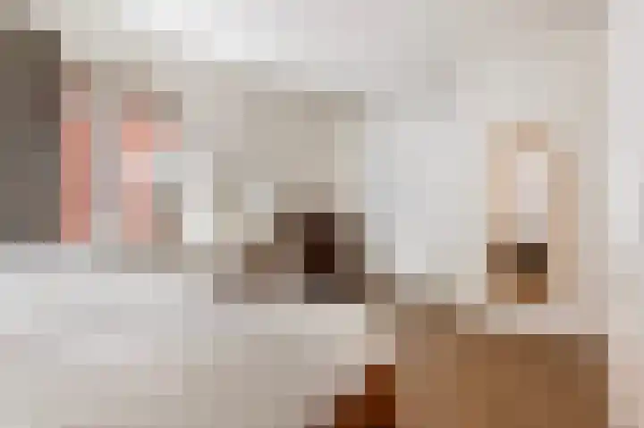 Erve Gorkink 18 Markelo thumbnail 20