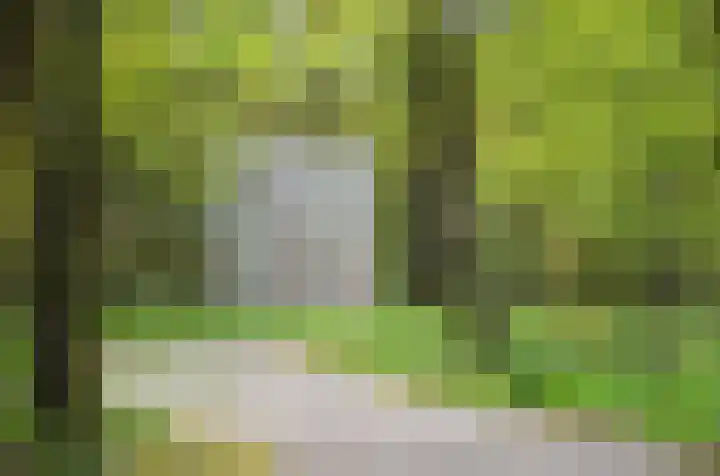 Erve Gorkink 18 Markelo thumbnail 26