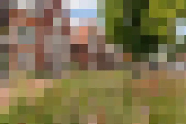 Erve Gorkink 18 Markelo foto 3