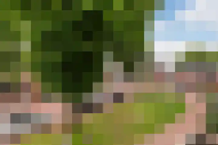Erve Gorkink 18 Markelo thumbnail 30