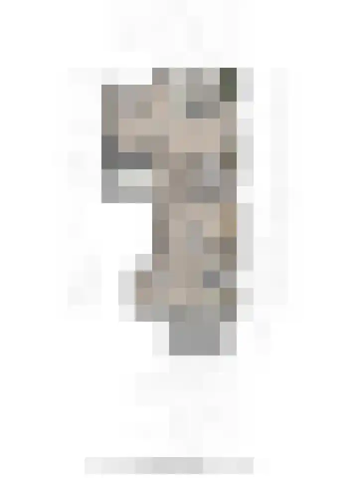 Erve Gorkink 18 Markelo thumbnail 31