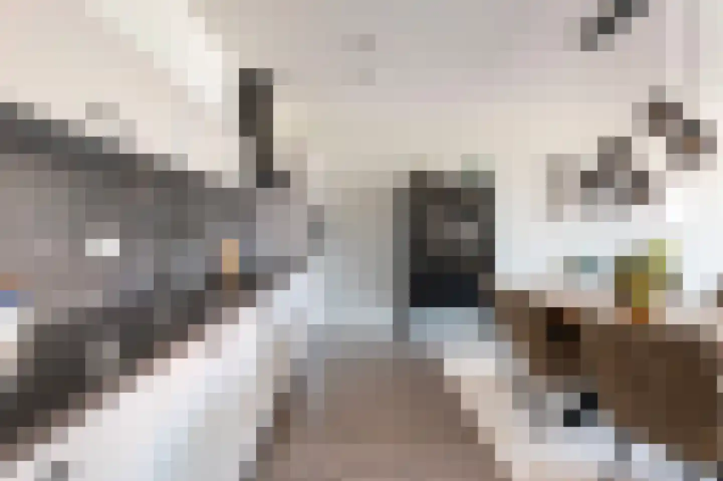 Erve Gorkink 4 Markelo thumbnail 13