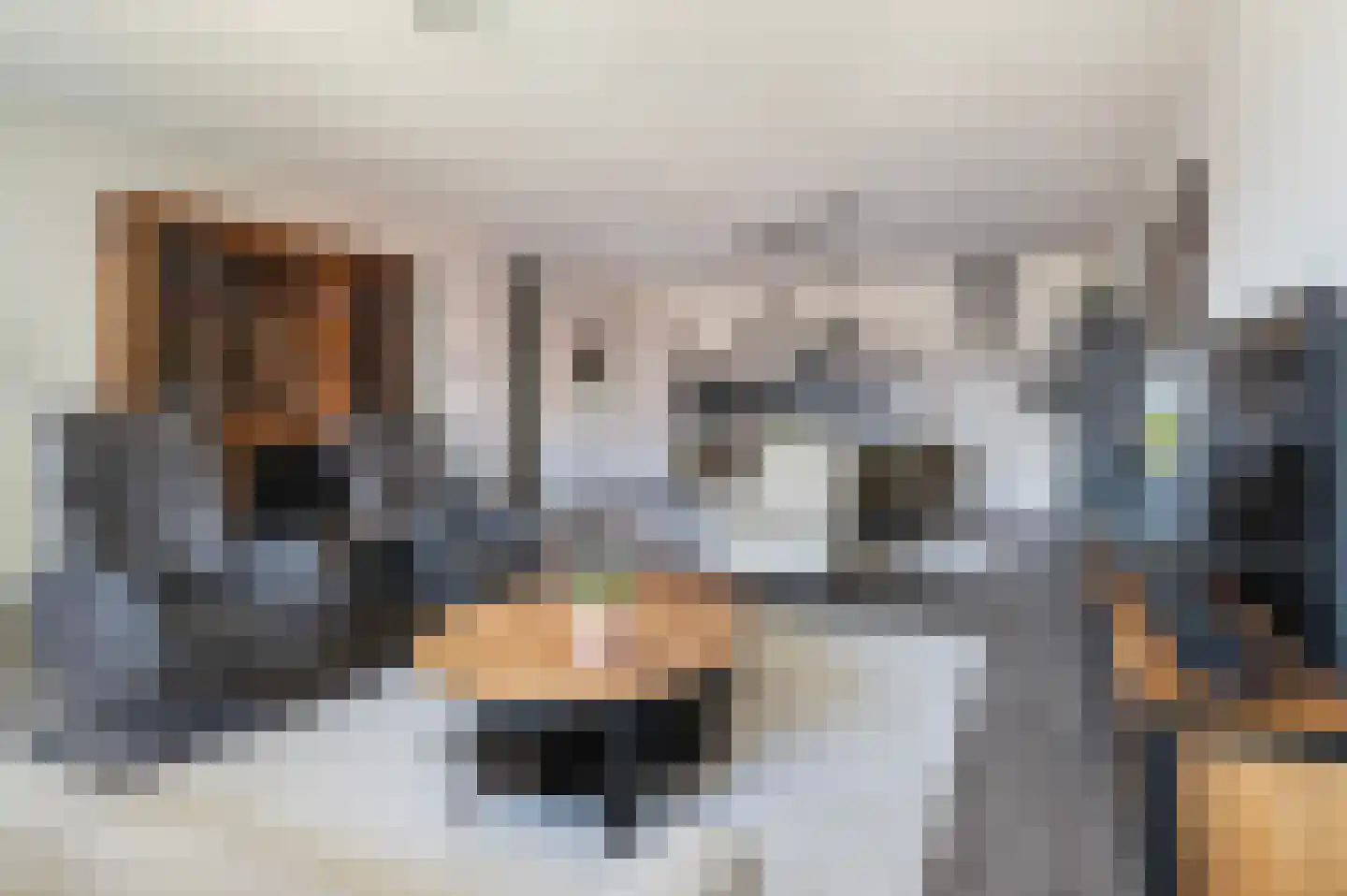 Erve Gorkink 4 Markelo thumbnail 19