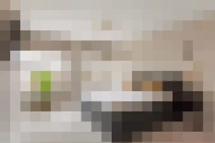 Erve Hams 1 Oldenzaal thumbnail 14