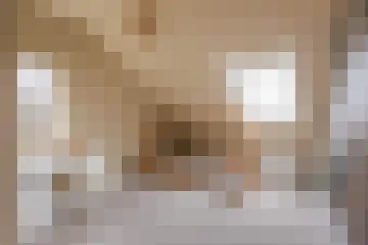 Erve Hams 1 Oldenzaal thumbnail 18