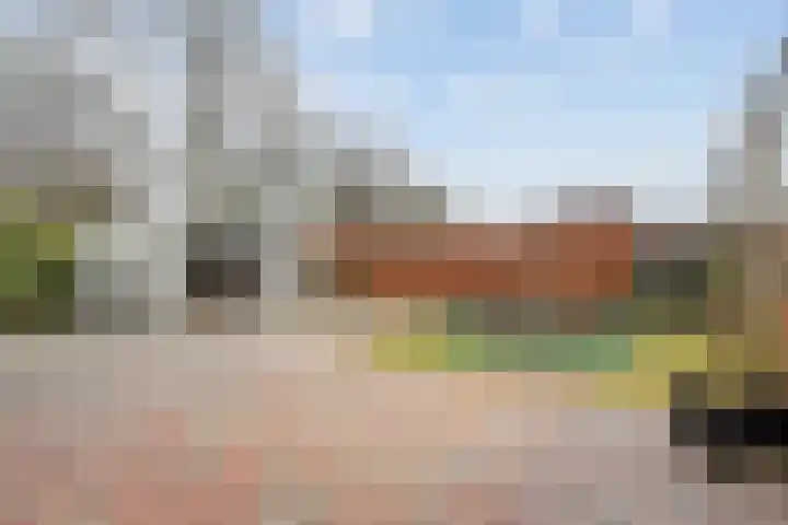 Erve Hams 1 Oldenzaal thumbnail 22