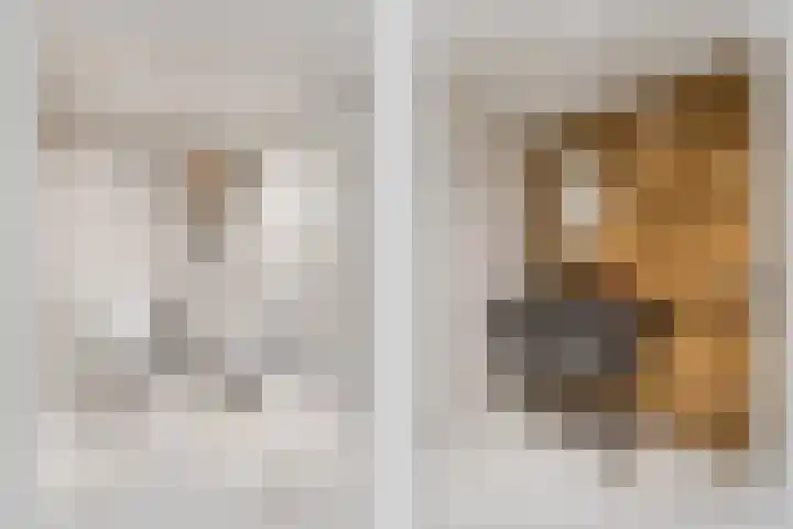 Erve Hams 1 Oldenzaal thumbnail 4