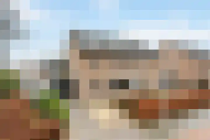 Erve Hams 1 Oldenzaal thumbnail 5