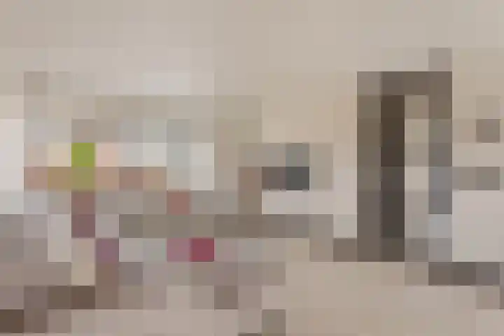 Erve Hams 1 Oldenzaal thumbnail 6