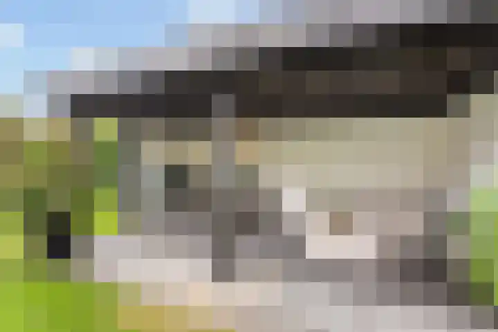 Erve Hams 12 Oldenzaal thumbnail 21