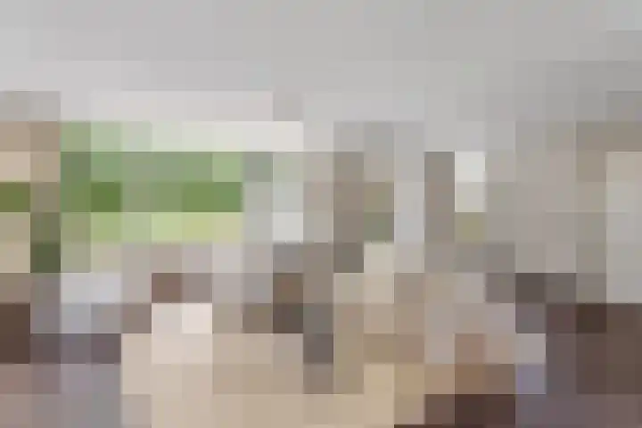 Erve Hams 12 Oldenzaal thumbnail 6