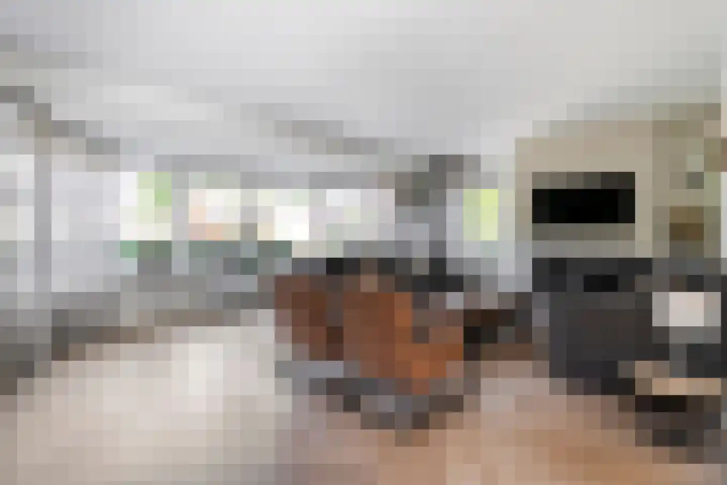Erve Harbers 14 Rijssen thumbnail 10