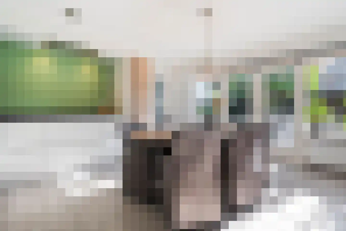 Erve Harbers 14 Rijssen thumbnail 15