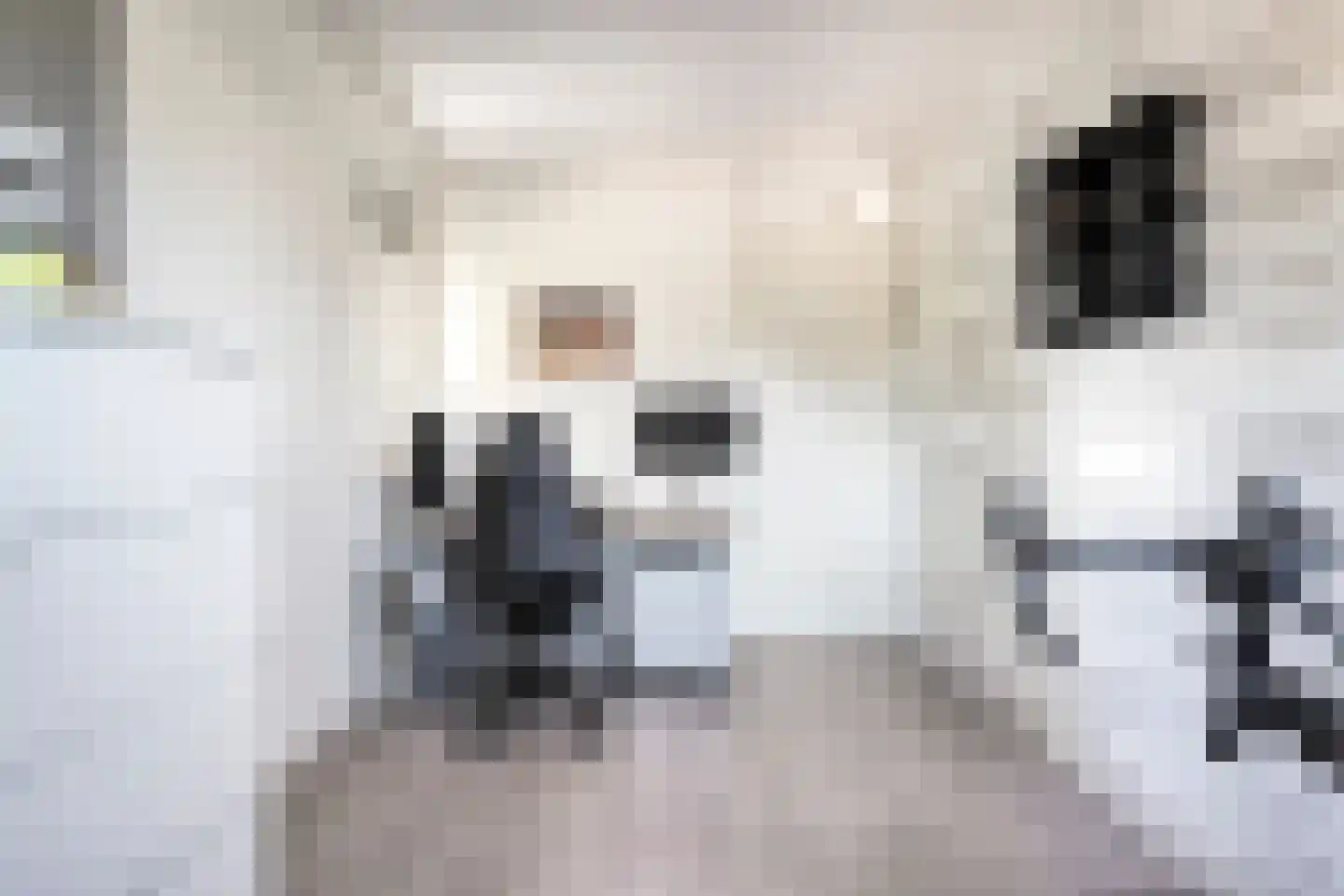 Erve Harbers 14 Rijssen thumbnail 30