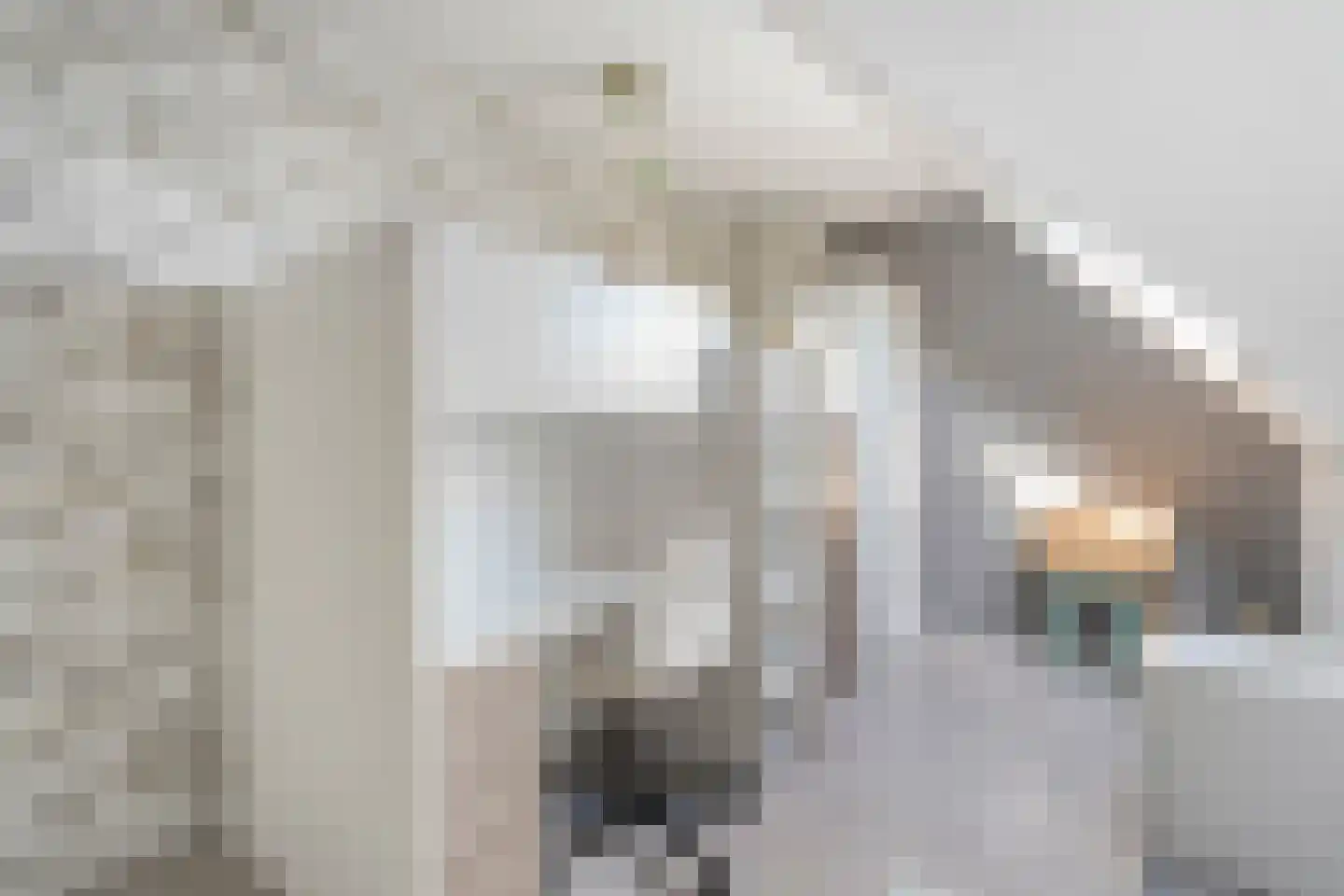 Erve Harbers 14 Rijssen thumbnail 36