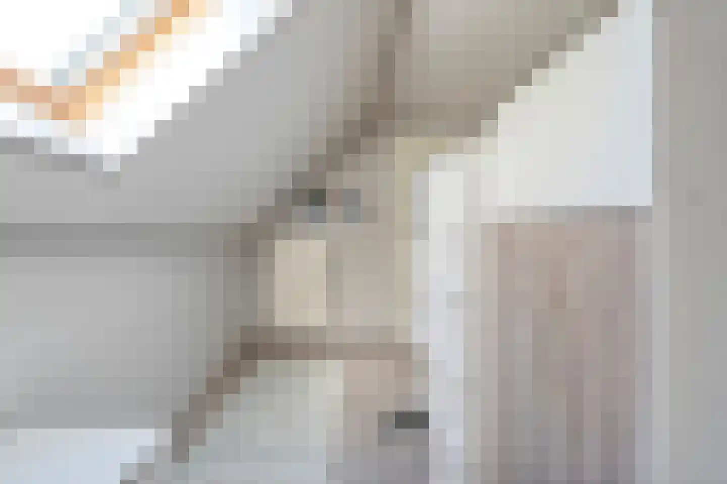 Erve Harbers 14 Rijssen thumbnail 37