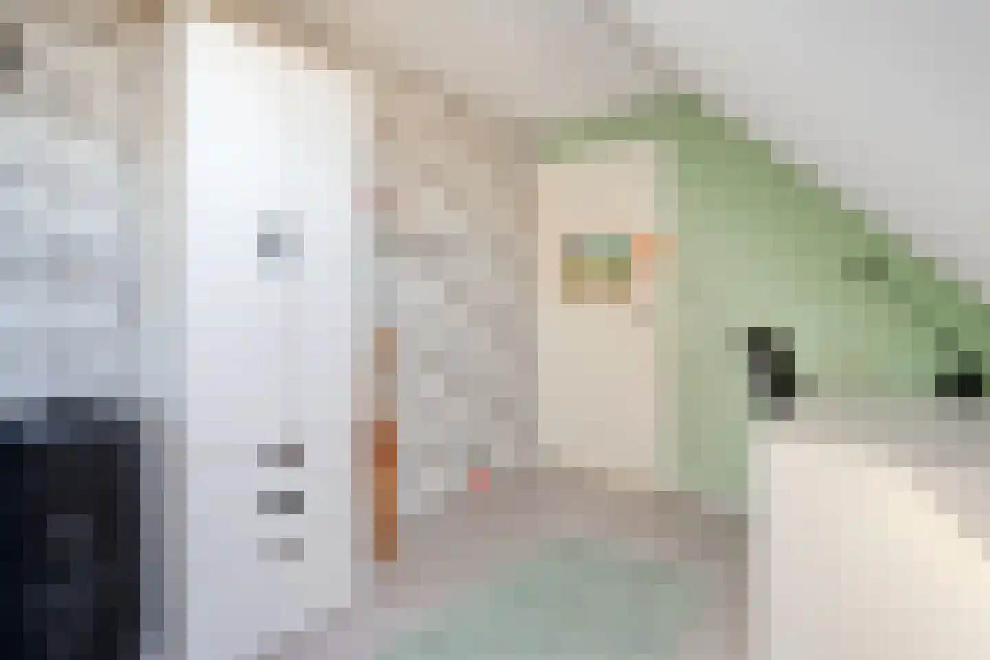 Erve Harbers 14 Rijssen thumbnail 39
