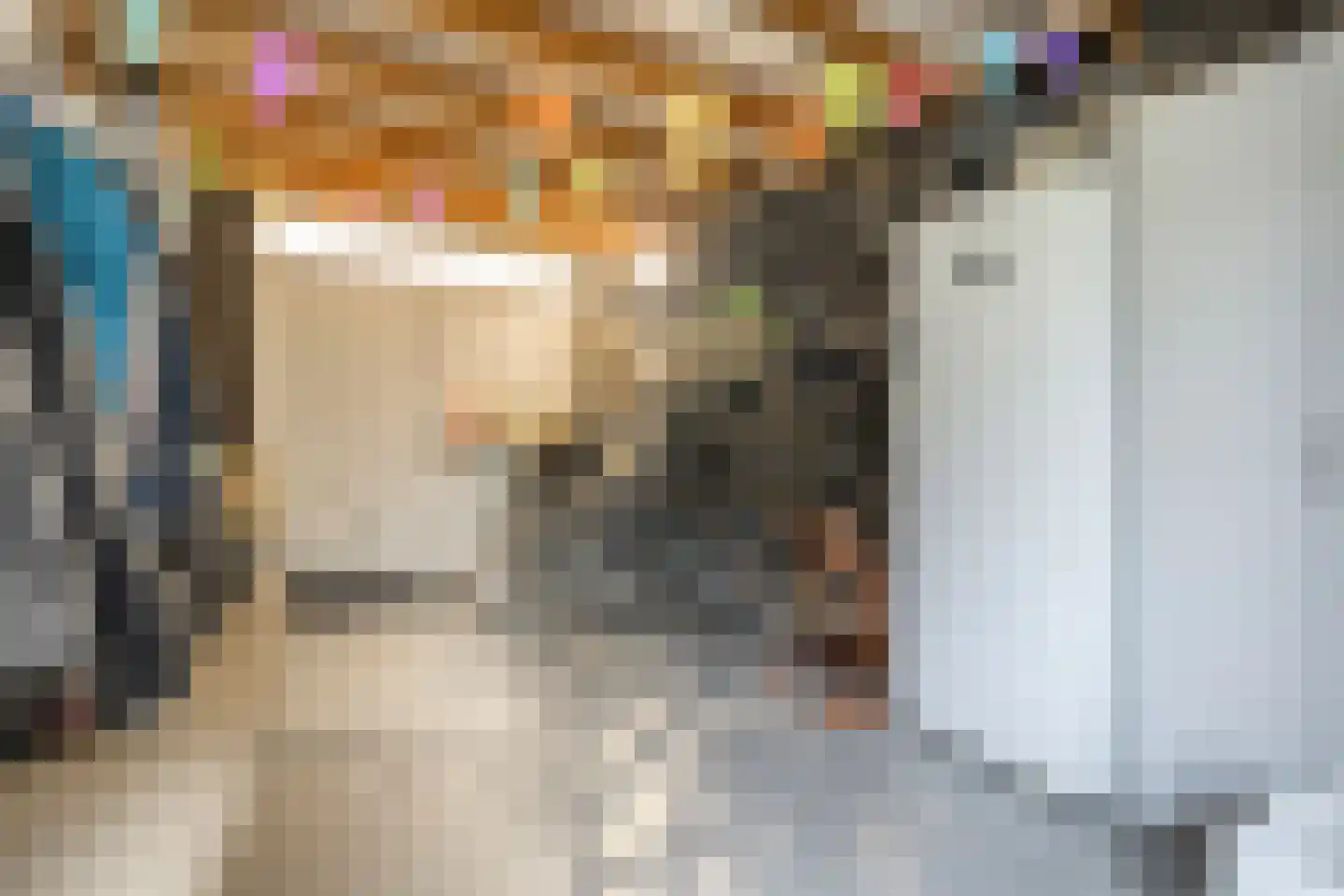 Erve Harbers 14 Rijssen thumbnail 41