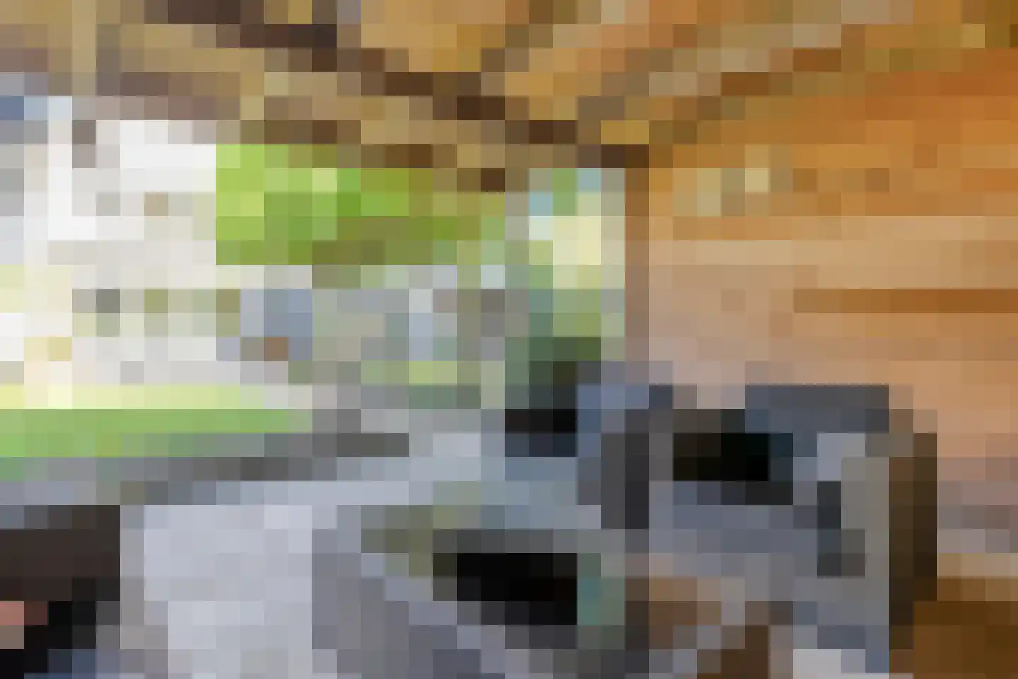 Erve Harbers 14 Rijssen thumbnail 44