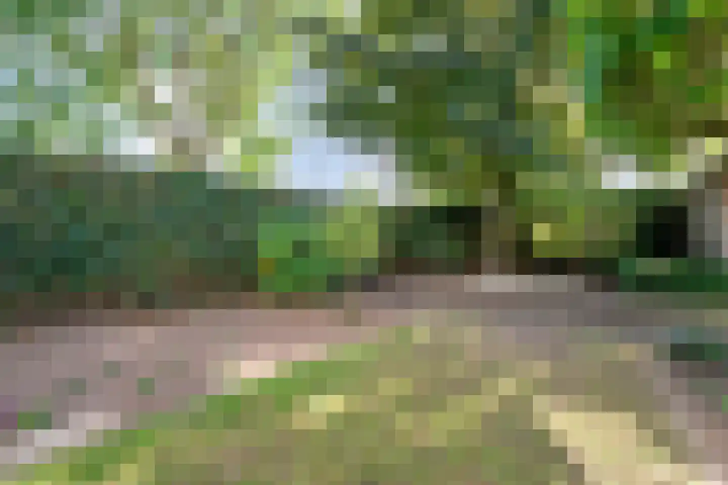 Erve Harbers 14 Rijssen thumbnail 46