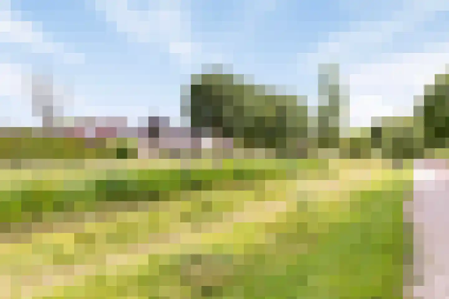 Erve Harbers 28 Rijssen thumbnail 26