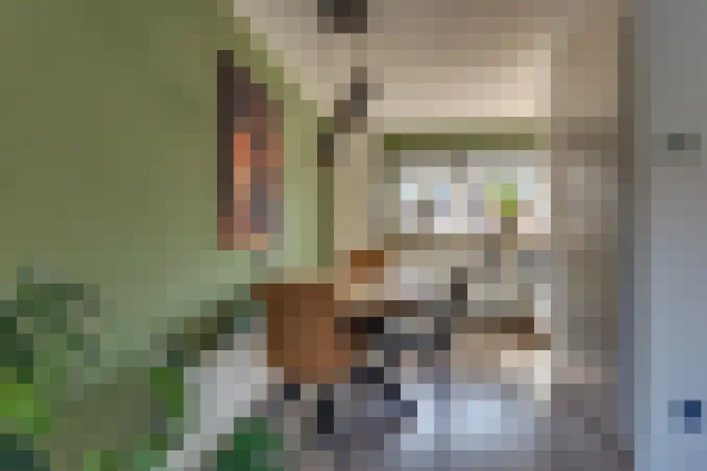 Erve Harbers 3 Rijssen thumbnail 10