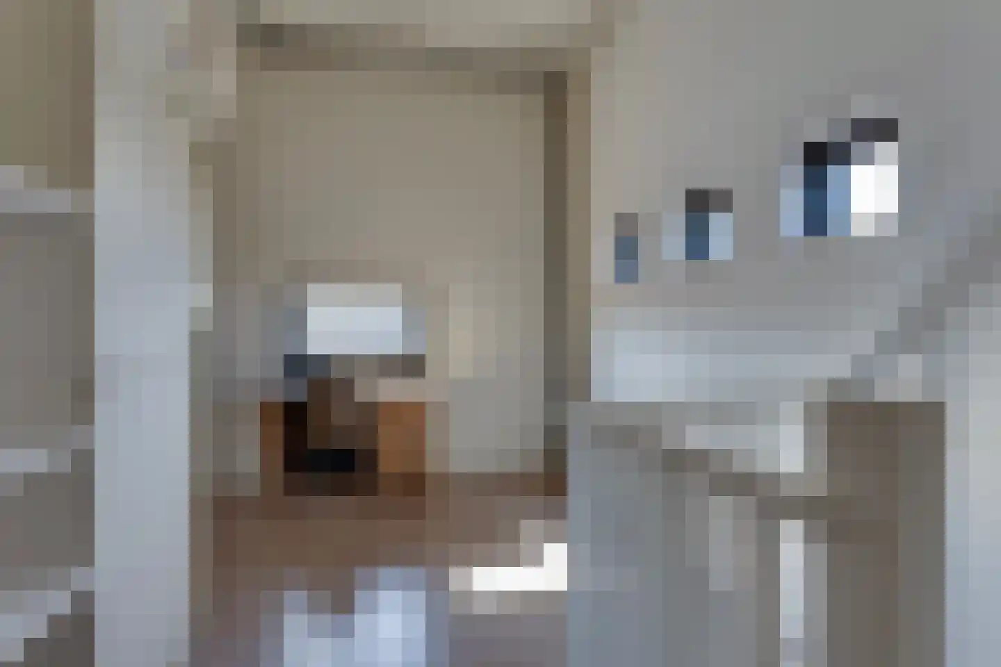 Erve Harbers 3 Rijssen thumbnail 22