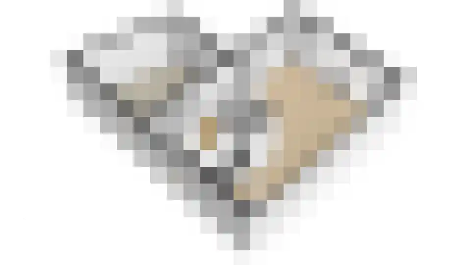 Erve Harbers 3 Rijssen thumbnail 34