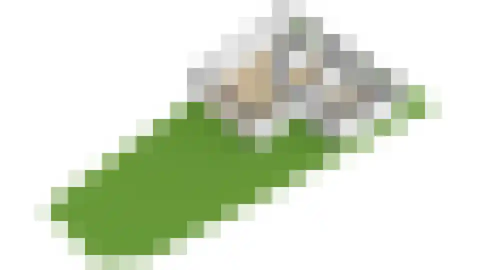 Erve Harbers 3 Rijssen thumbnail 39