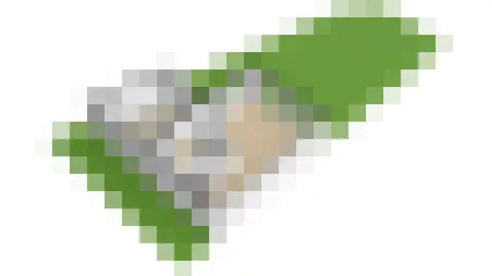 Erve Harbers 3 Rijssen thumbnail 40