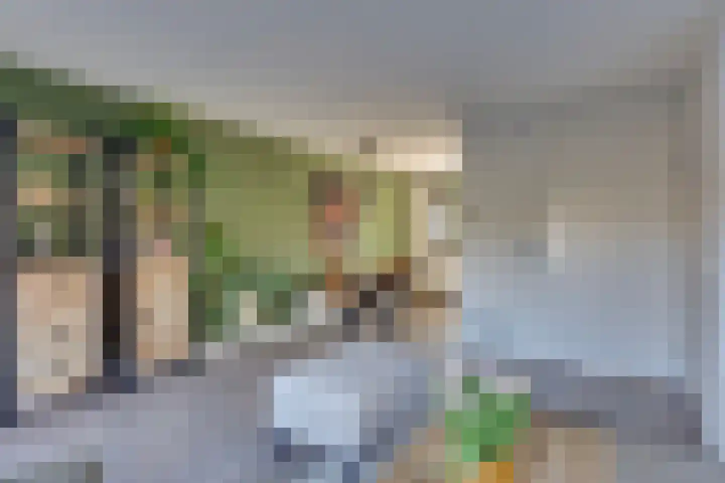 Erve Harbers 3 Rijssen thumbnail 8