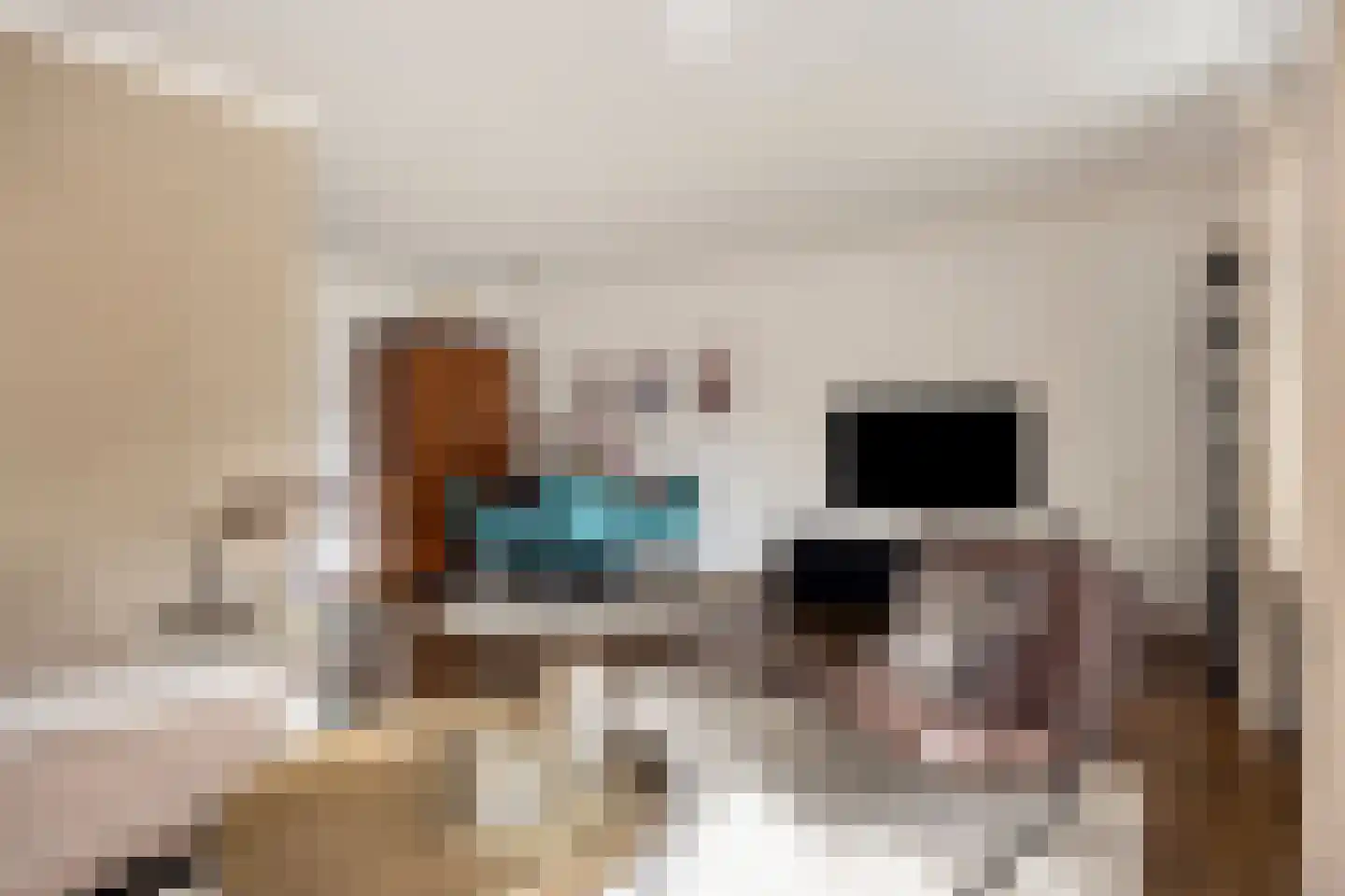 Erve Hobbelinck 16 Enter thumbnail 10