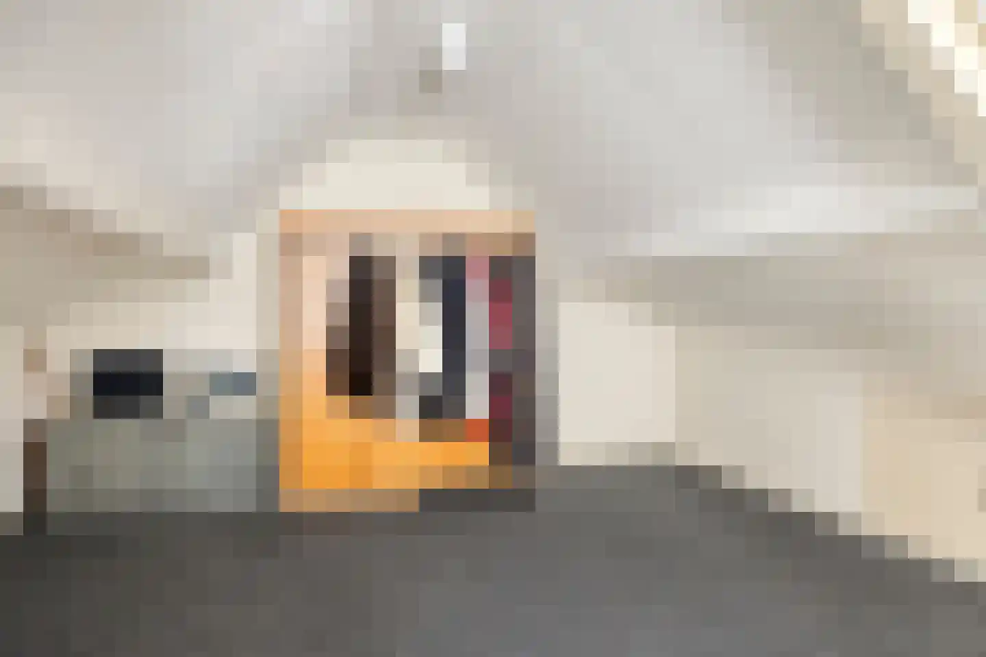 Erve Hobbelinck 16 Enter thumbnail 36