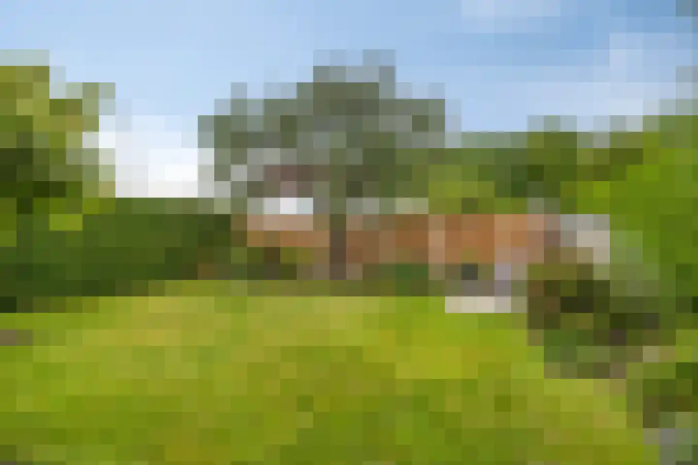 Erve Hobbelinck 16 Enter thumbnail 5