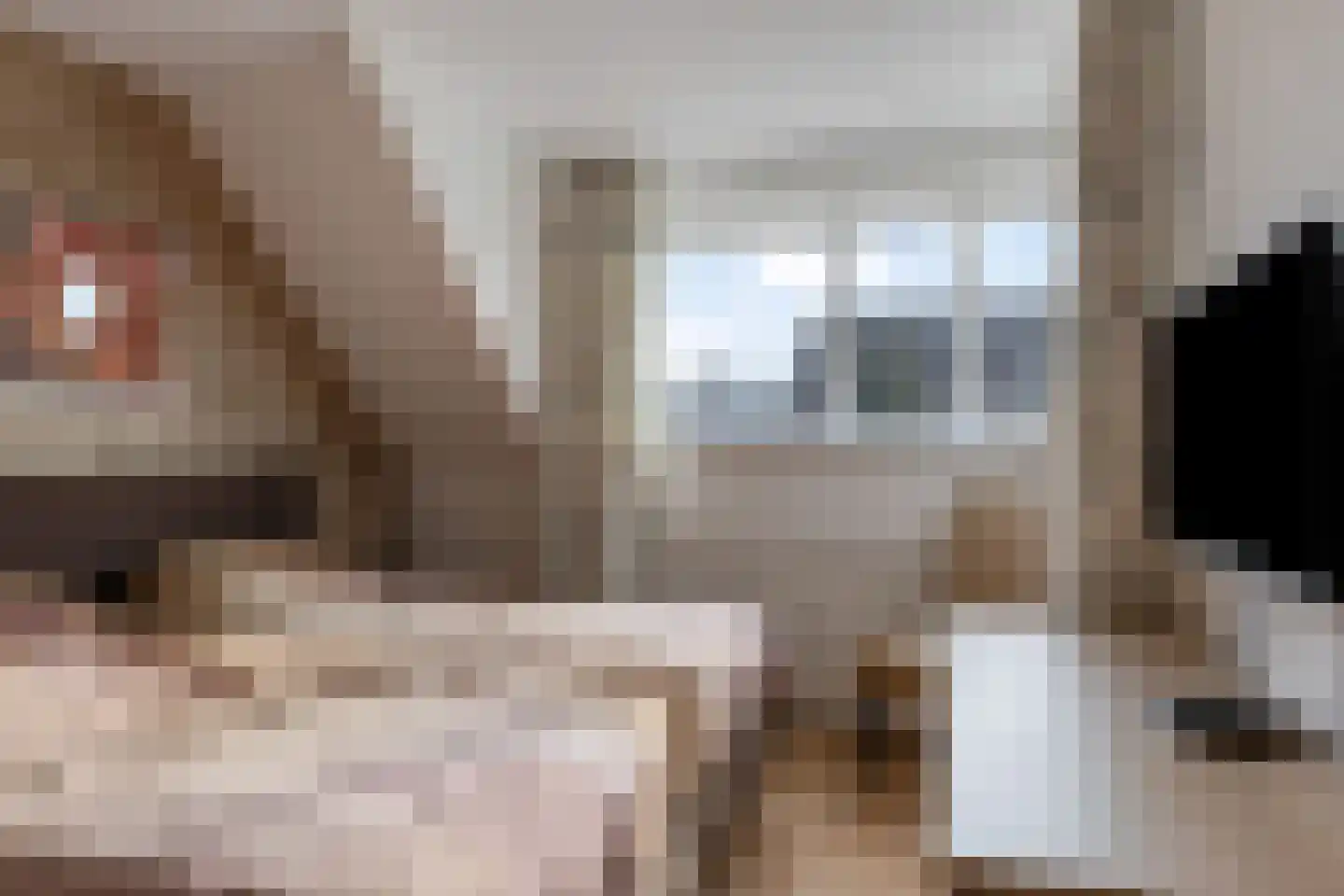Erve Hobbelinck 8 Enter thumbnail 15