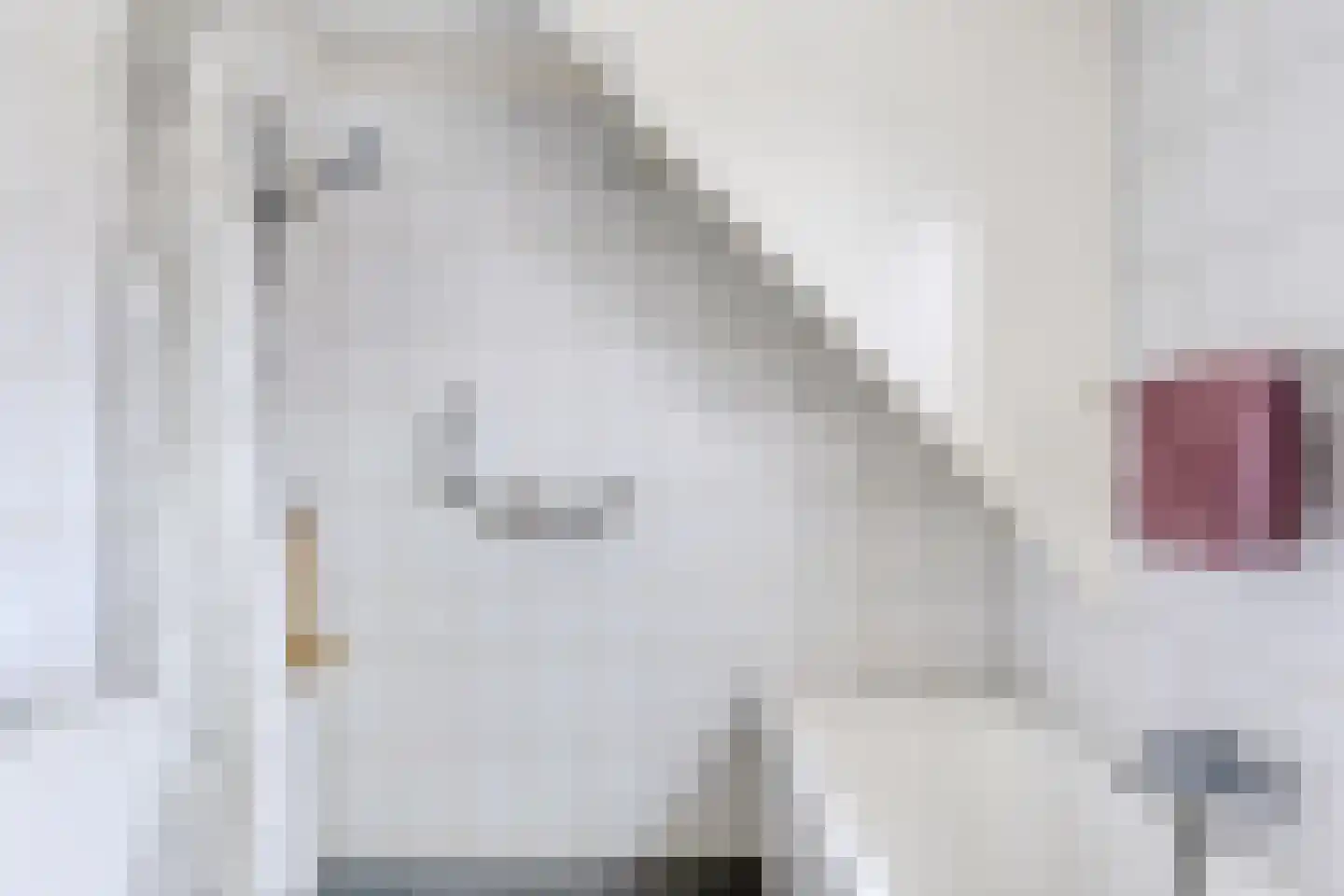 Erve Hobbelinck 8 Enter thumbnail 17