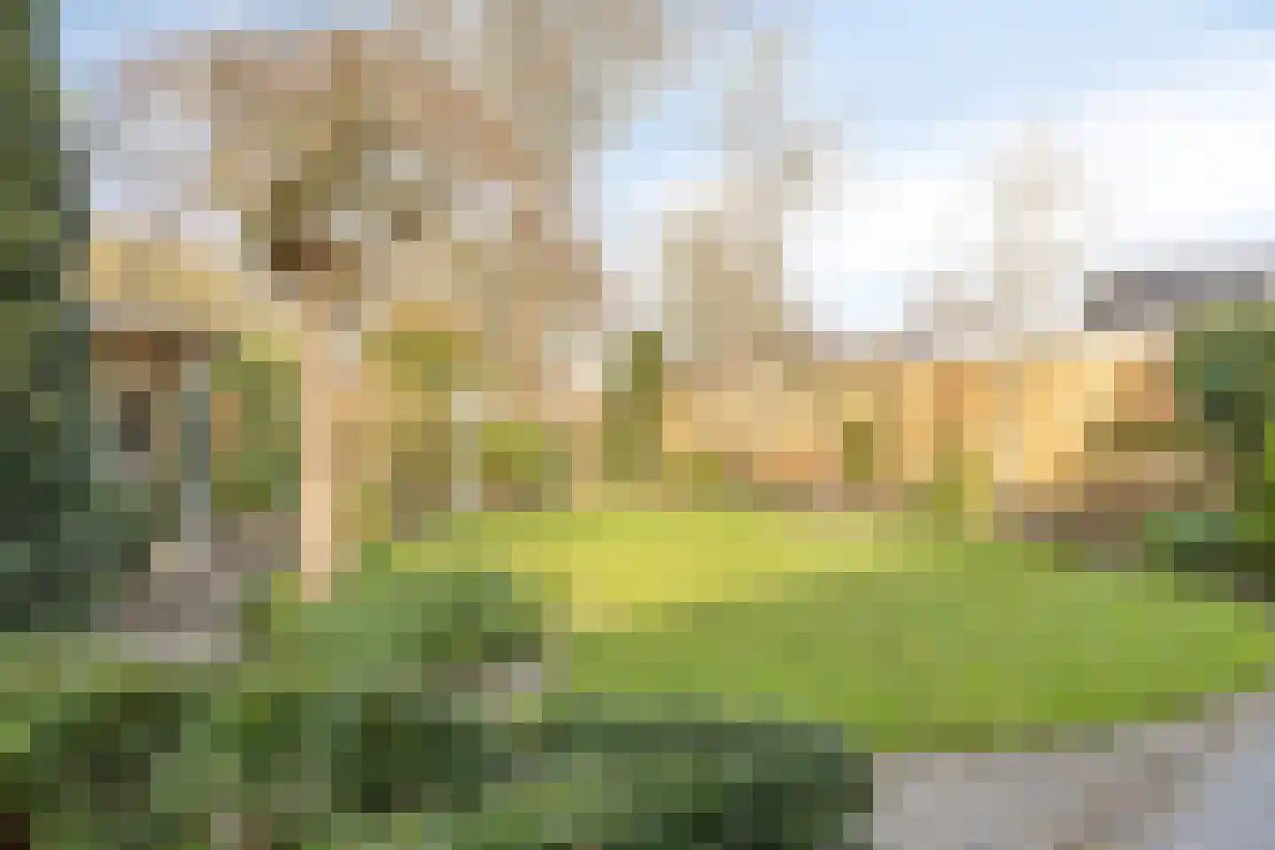 Erve Hobbelinck 8 Enter thumbnail 22