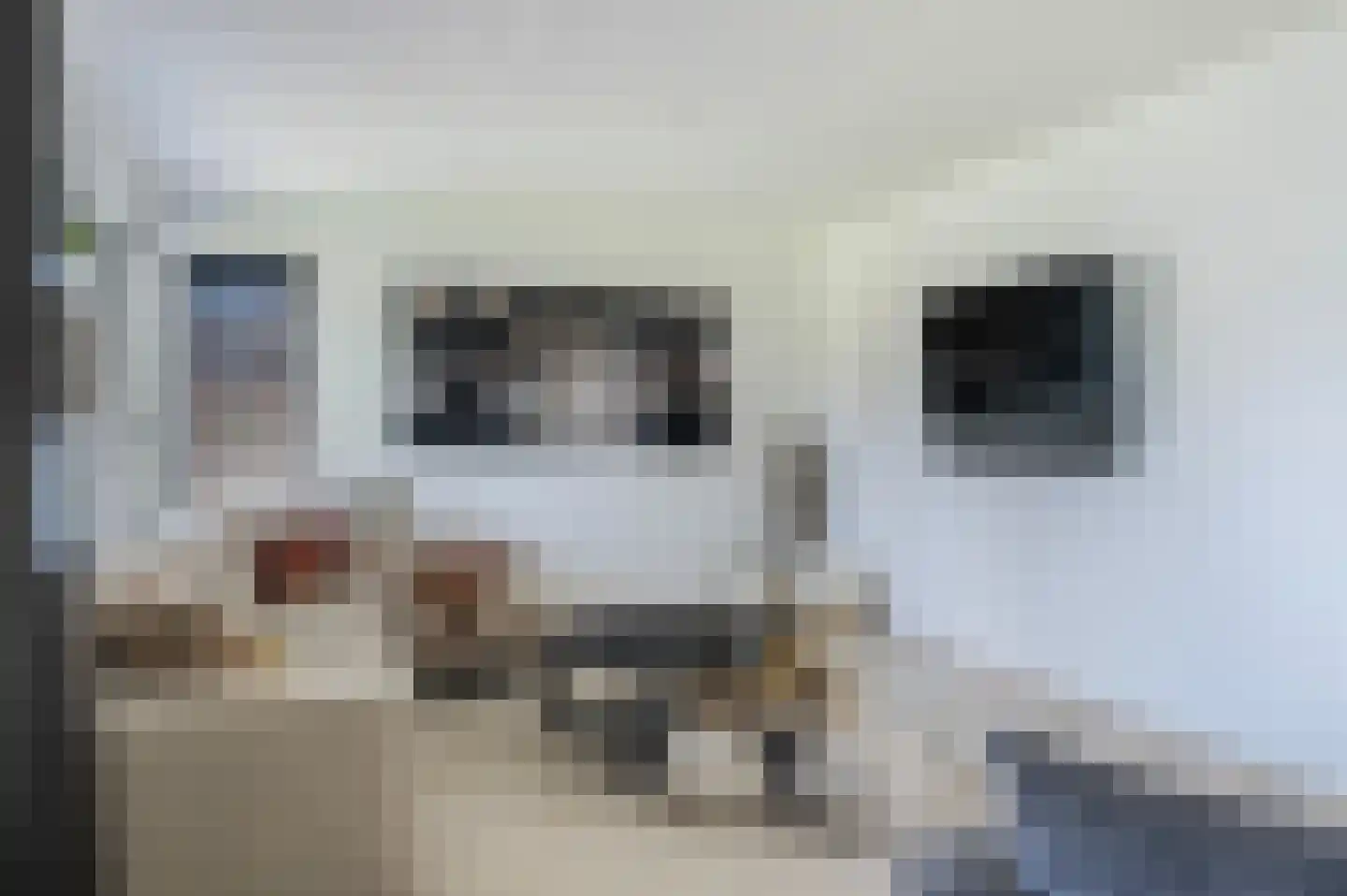 Erve Hofstee 28 Enter thumbnail 19