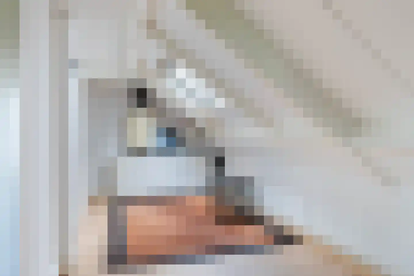 Erve Hofstee 28 Enter thumbnail 36