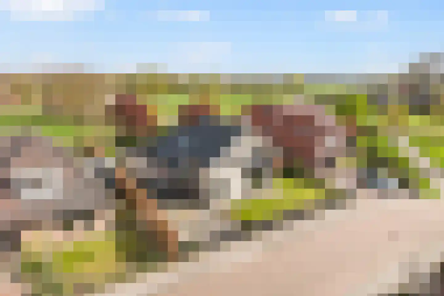 Erve Hofstee 28 Enter thumbnail 43